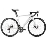BICICLETA TWITTER RUTA R10 700 RIVAL CARBONO 22S COLOR PLATA
